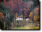 Photo 01